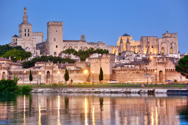 view of avignon city and rhone river at sunset, france
